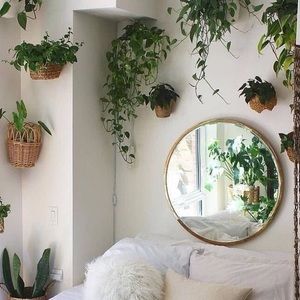 Meet your Posher, Guadalupe